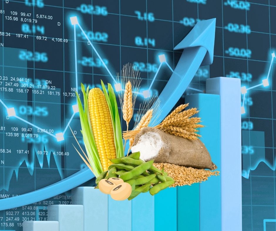 NGÔ – LÚA MÌ – ĐẬU TƯƠNG: HỢP ĐỒNG & CHIẾN LƯỢC THỊ TRƯỜNG 2025